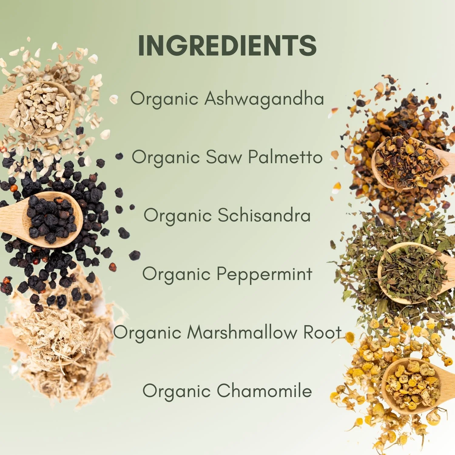 Organic Bladder Health Tea - Image 3
