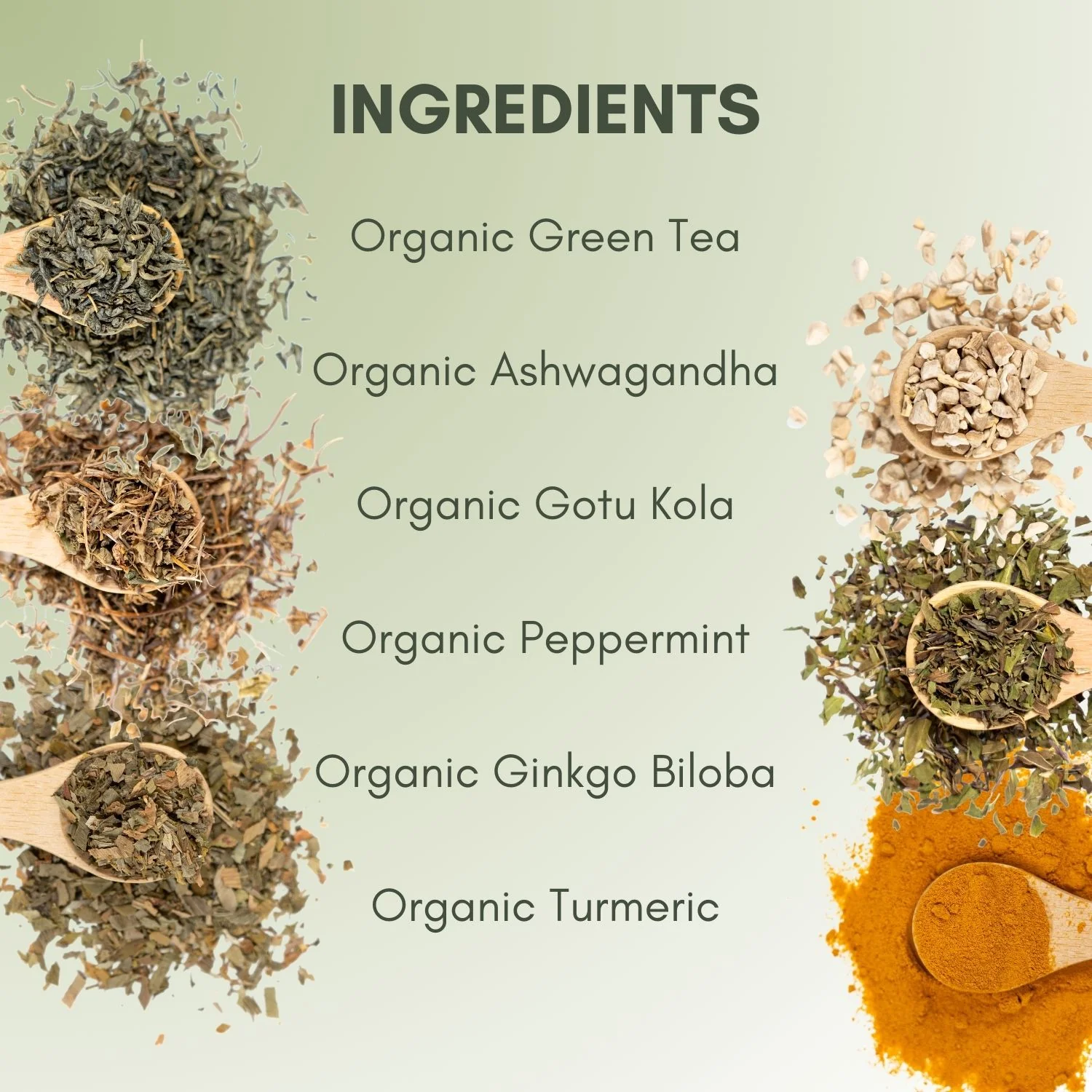 Organic Brain Health Tea - Image 3