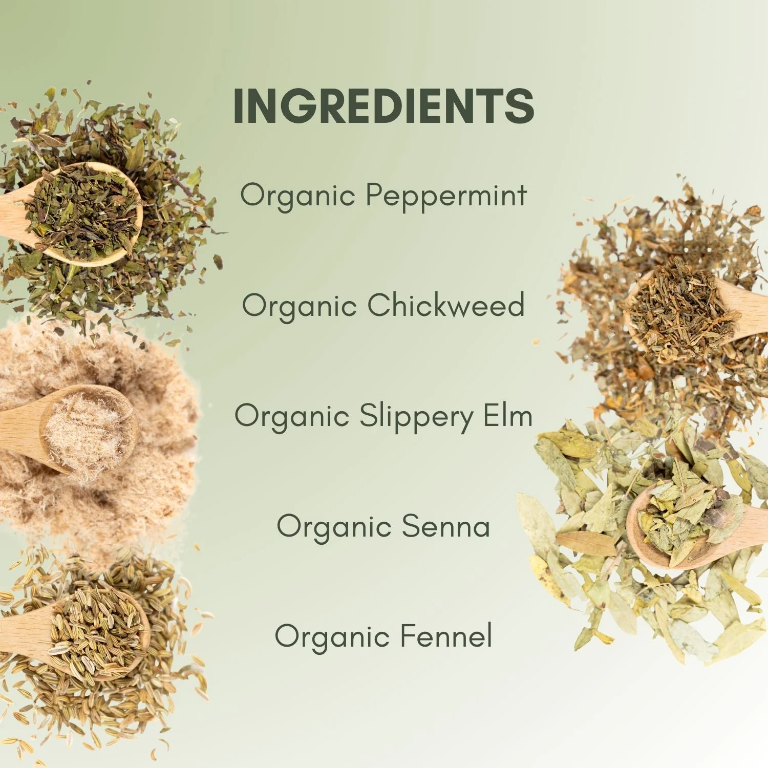 Organic Healthy Colon Tea - Image 3