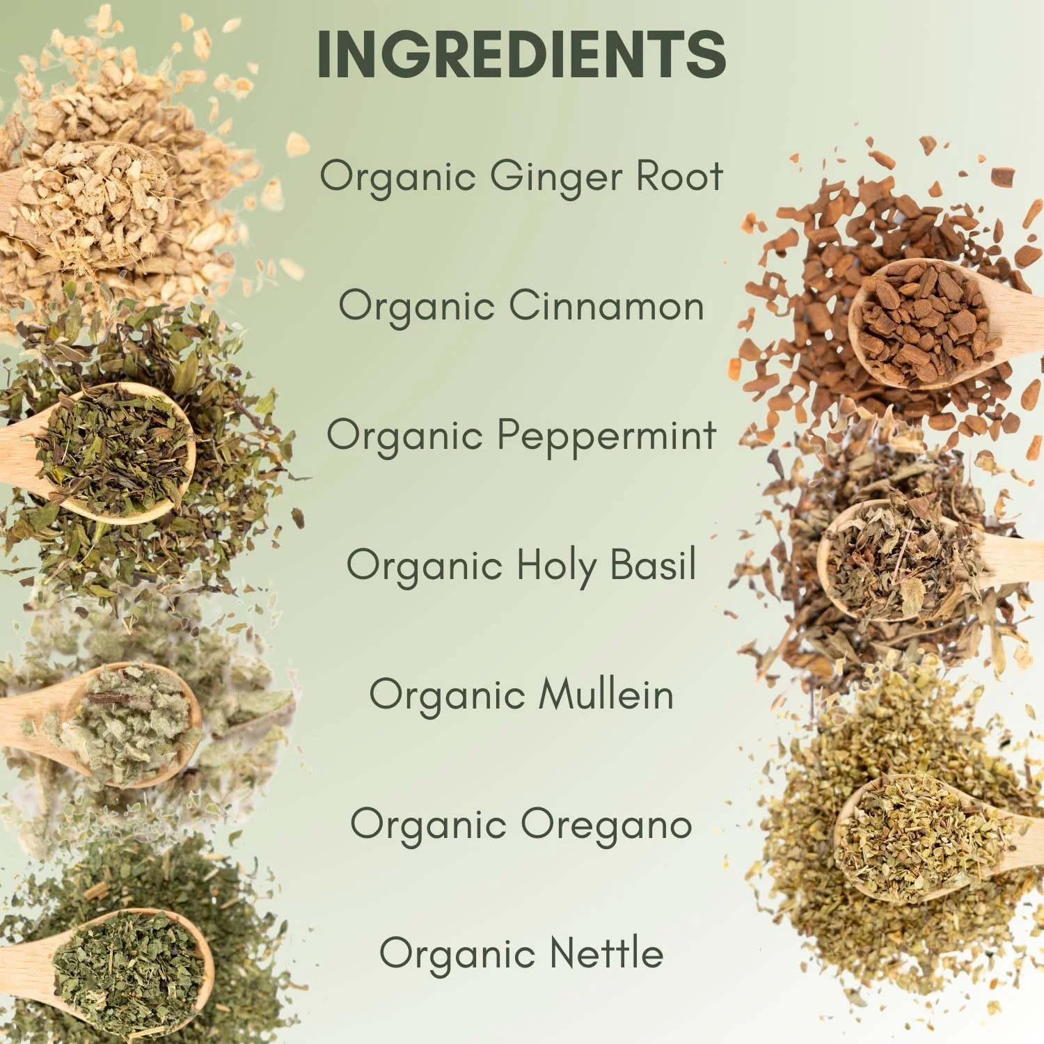 Organic Congestion Relief Tea - Image 3