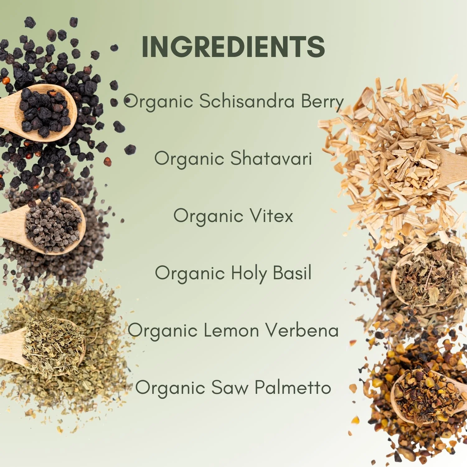 Organic Cycle Support - Image 3