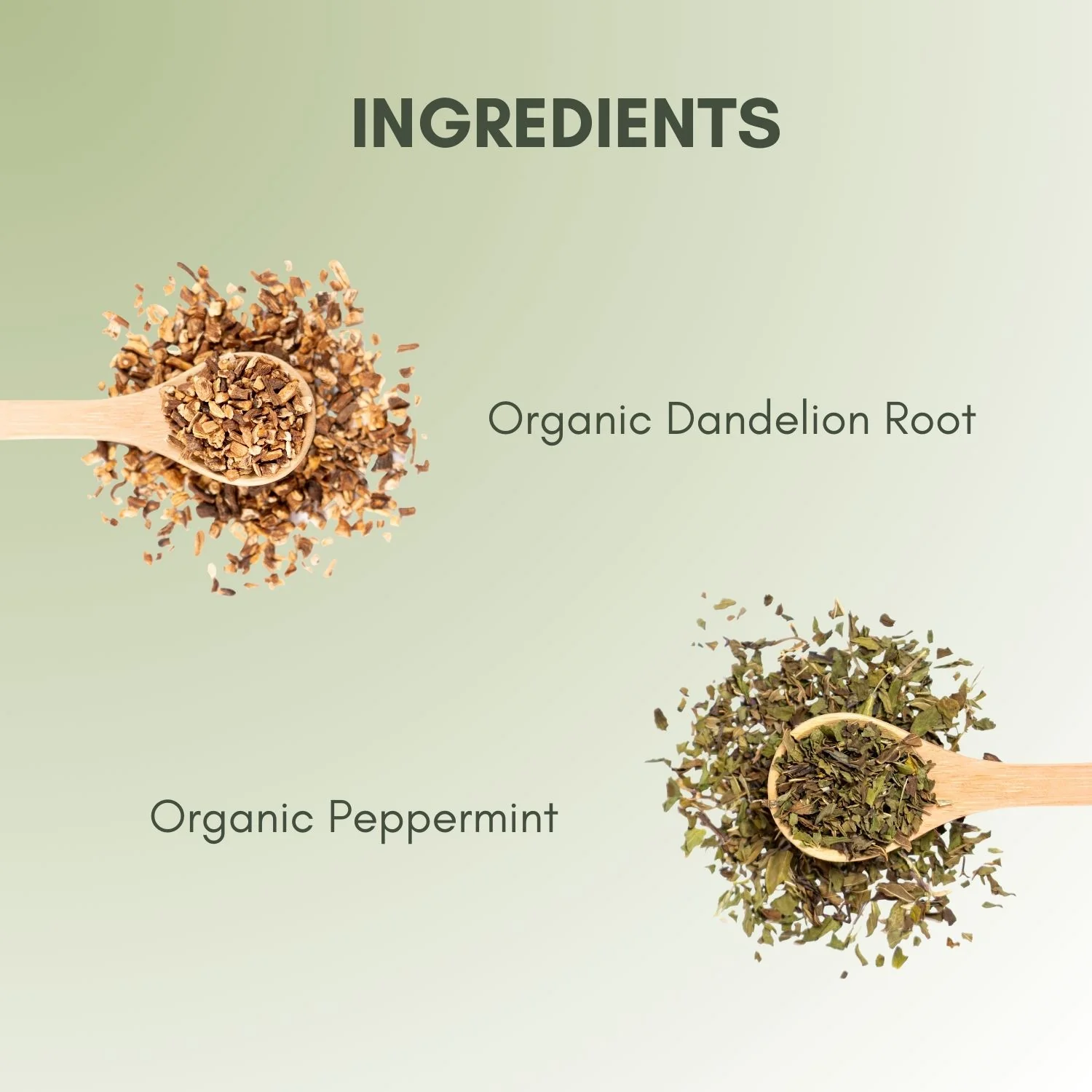 Organic Dandelion Tea - Image 3