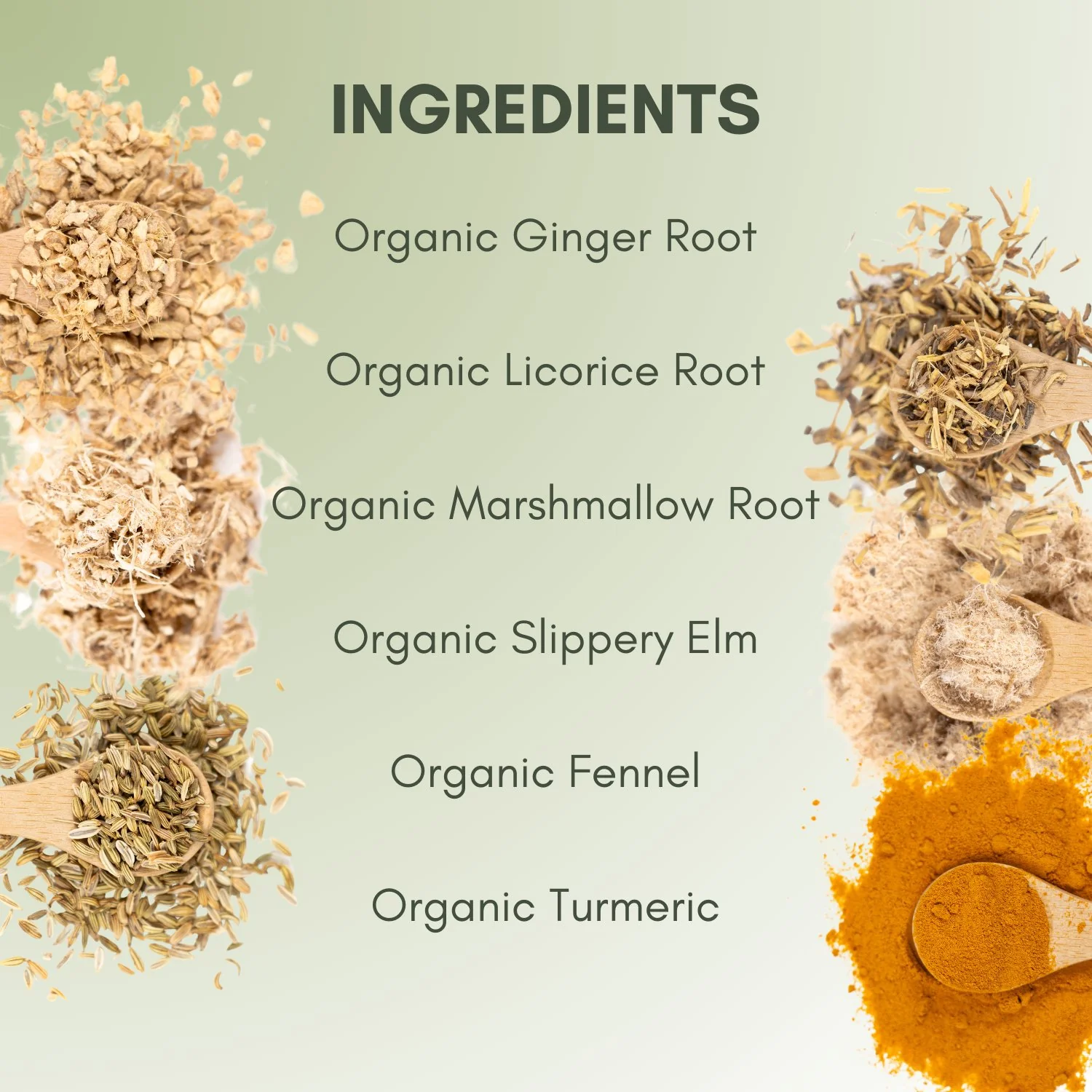 Organic Heartburn Relief Tea - Image 3