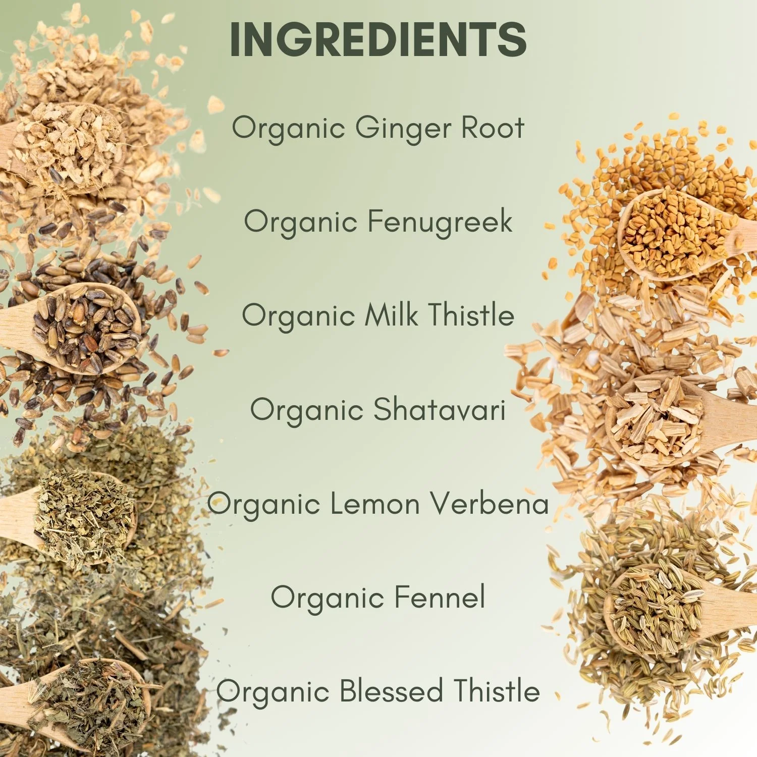 Organic Lactation Boost - Image 3