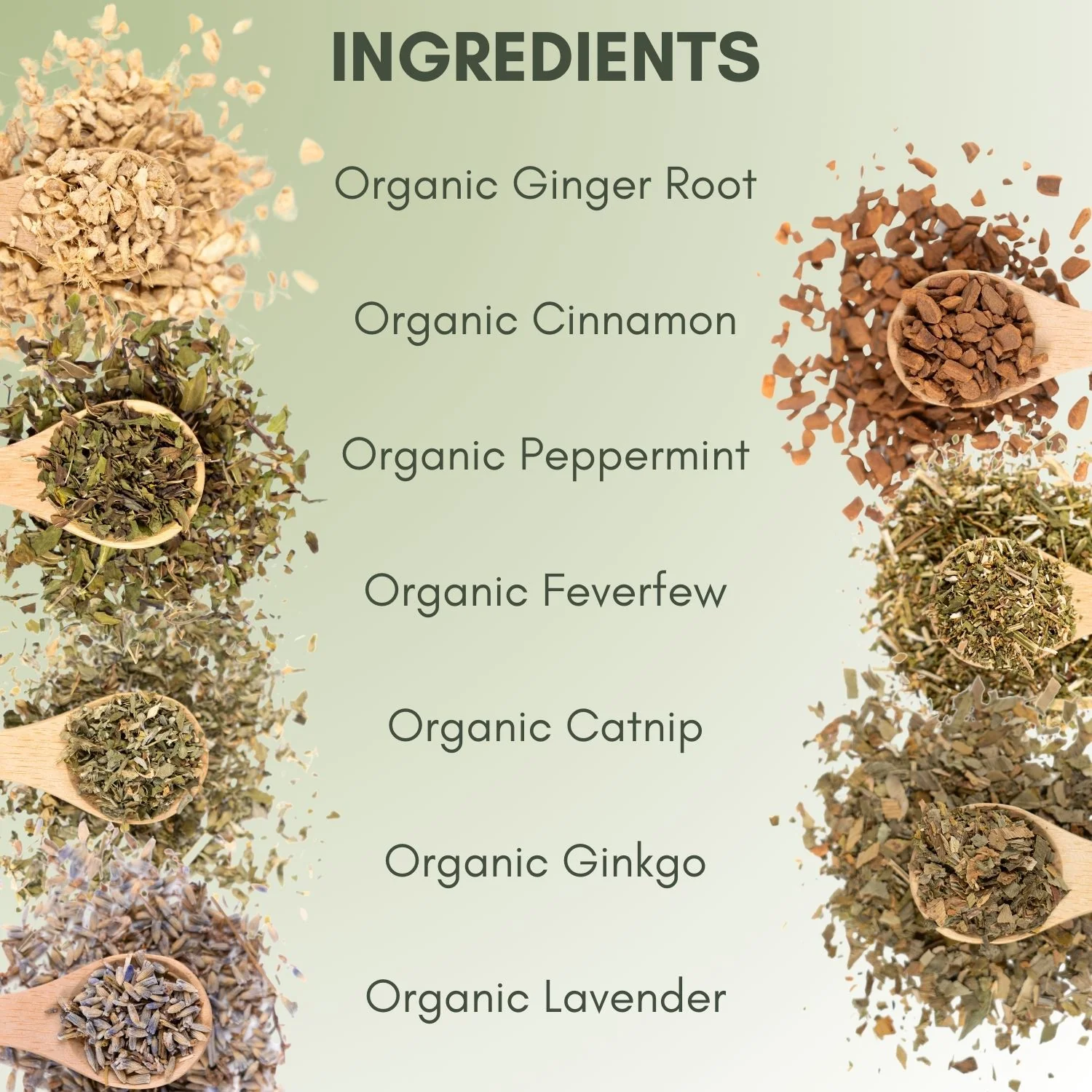 Organic Migraine Relief Tea - Image 3